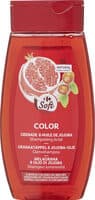 Shampooing raviveur de couleur