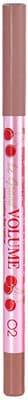 Vivienne Sabo Le Grand Volume Gel Lipliner 02 Warm Nude - Precise Definition & Long-Lasting Wear