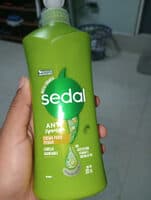 sedal