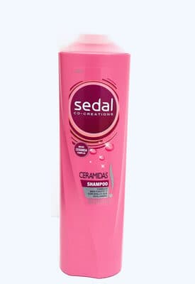 sedal