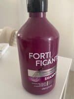 forti ficante