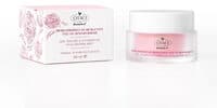 Otacı Gül Kürü Yüz ve Boyun Kremi 50 ml