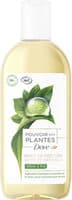 DOVE Gel Douche Pouvoir des Plantes Arbre à Thé 250ml