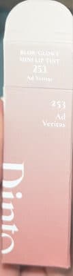 Dinto Blur-Glowy Mini Lip Tint 253 Ad Veritas