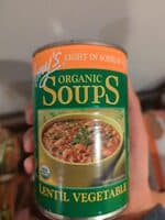 Lentil Vegetable Soup