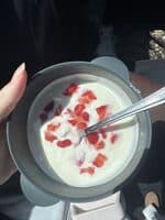 Fat Free Greek Style Natural Yogurt