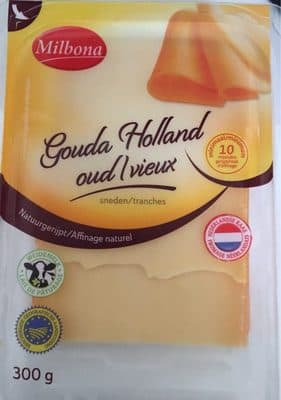 Gouda Holland oud I vieux