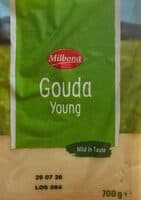 Gouda