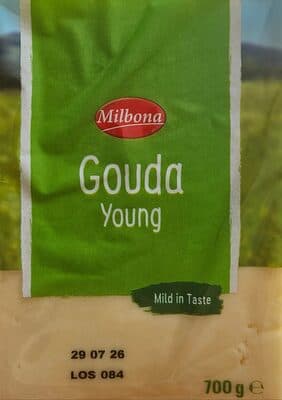 Gouda