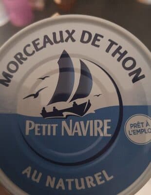 Morceaux de Thon nature