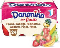 Danonino aux fruits panache 50 g x 24