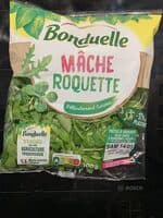 mache roquette