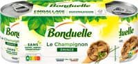 Champi émincé sans sulfite 1/4x3