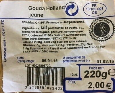Gouda Holland jeune