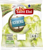 Iceberg