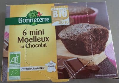 6 mini moelleux au chocolat