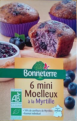 Mini moelleux à la myrtille