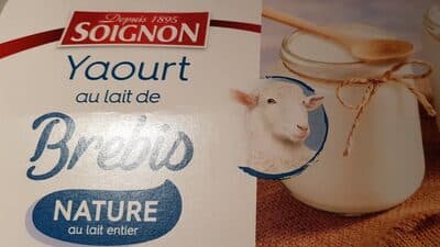 Yaourt au lait de brebis