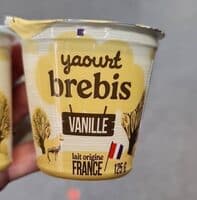 Yaourt brebis