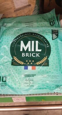 10 Feuille brick mil b 170g