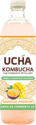 Kombucha mangue passion