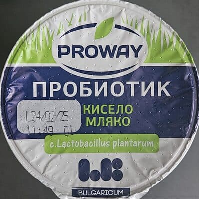 Пробиотик кисело мляко