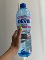 Devin