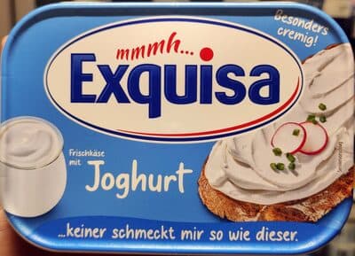 Frischkäse mit Joghurt