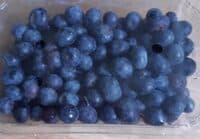 Heidelbeeren Polen