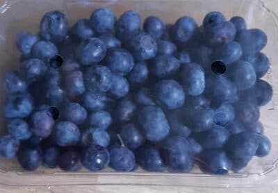 Heidelbeeren Polen
