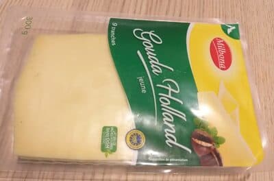 Gouda holland