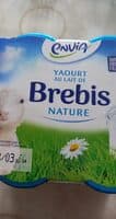 Yaourt au lait de brebis, nature