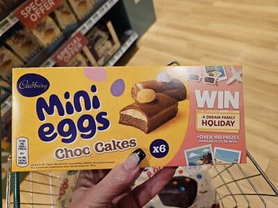Mini eggs Choc Cakes