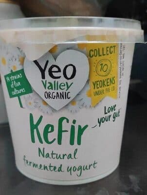 Kefir Natural Fermented Yogurt