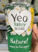 Yogurt