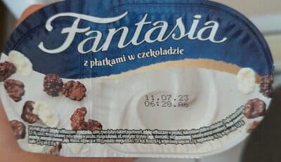 Fantasia z płatkami w czekoladzie