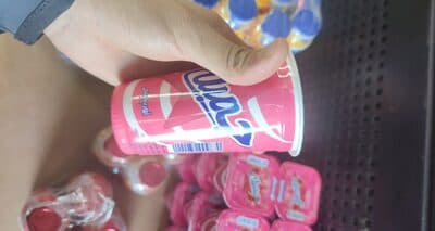 Raibi jamila