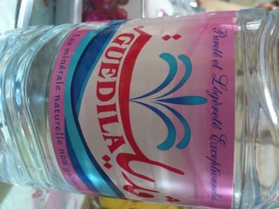Guedila