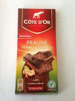 Côte d'Or Praliné Double Noisettes Lait