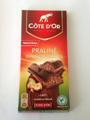Côte d'Or Praliné Double Noisettes Lait
