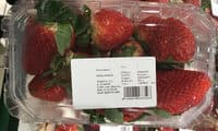 Fresas