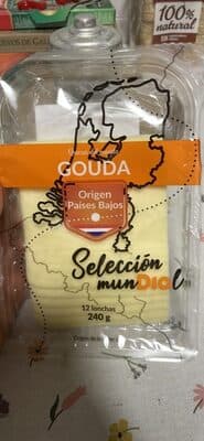 Queso gouda