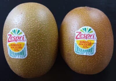 Sungold Kiwi