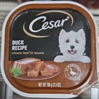 Duck Recipe