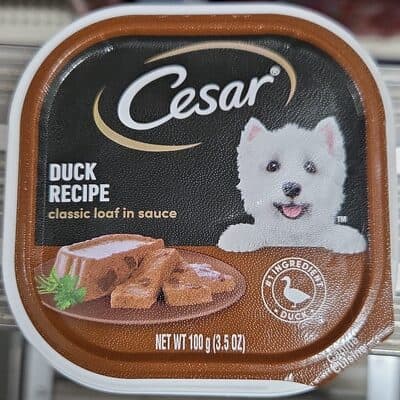 Duck Recipe