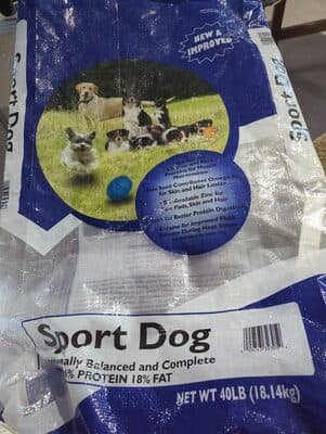 sport dog