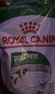 Small/Petit Adult
