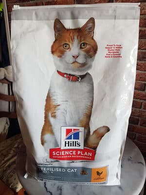 Sterilised cat
