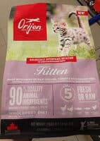 ORJEN Kitten