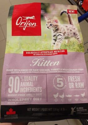 ORJEN Kitten